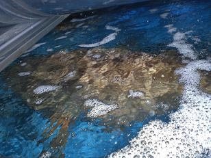 �V�R�N�G8kg_(1)